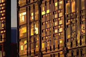 お料理の上品さを演出する金粉の華ふぶき