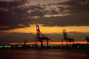 見やすいホームページを探してみよう